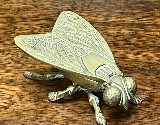 Antique Brass Novelty Fly Vesta