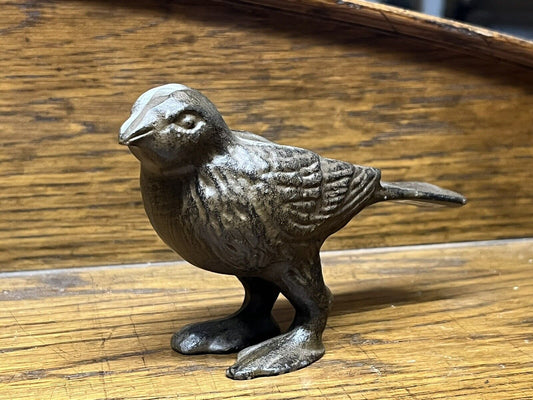 Small Bronzed Bird