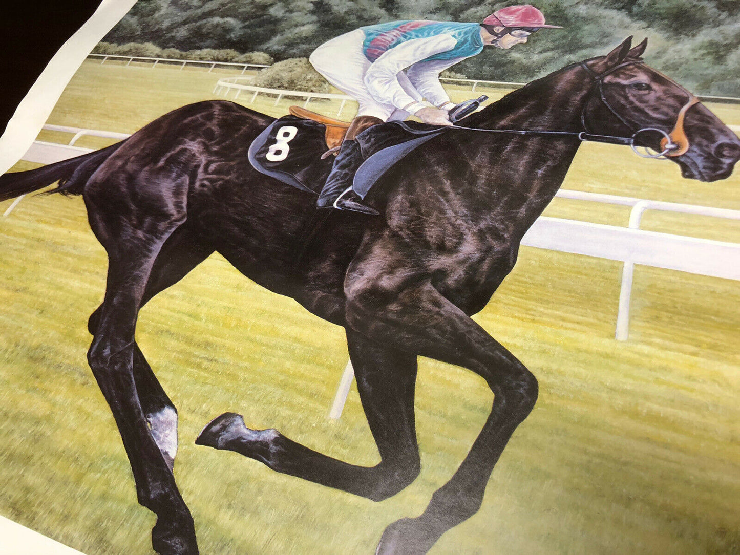 Dancing Brave & Pat Eddery, Limited Edition Signed Print By M Howard, 97/800.